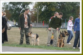 Klicken Sie auf das Bild, um es zu vergrößern