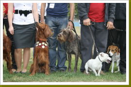 Klicken Sie auf das Bild, um es zu vergrößern