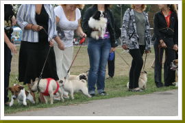 Klicken Sie auf das Bild, um es zu vergrößern