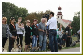 Klicken Sie auf das Bild, um es zu vergrößern