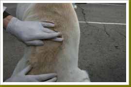 Klicken Sie auf das Bild, um es zu vergrößern