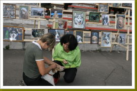 Klicken Sie auf das Bild, um es zu vergrößern