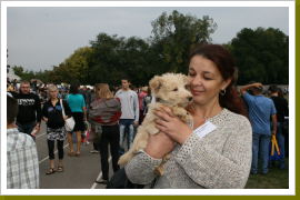 Klicken Sie auf das Bild, um es zu vergrößern
