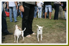 Klicken Sie auf das Bild, um es zu vergrößern