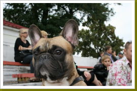 Klicken Sie auf das Bild, um es zu vergrößern