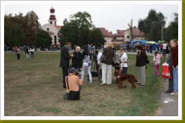 Klicken Sie auf das Bild, um es zu vergrößern