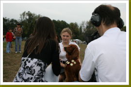 Klicken Sie auf das Bild, um es zu vergrößern