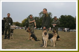 Klicken Sie auf das Bild, um es zu vergrößern