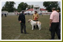 Klicken Sie auf das Bild, um es zu vergrößern