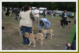 Klicken Sie auf das Bild, um es zu vergrößern