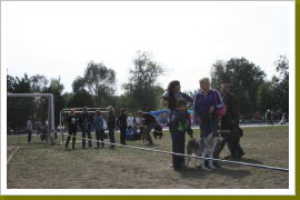 Klicken Sie auf das Bild, um es zu vergrößern