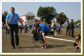 Klicken Sie auf das Bild, um es zu vergrößern