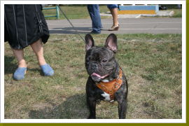 Klicken Sie auf das Bild, um es zu vergrößern