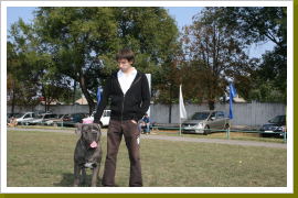 Klicken Sie auf das Bild, um es zu vergrößern