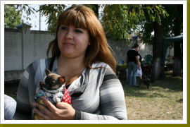 Klicken Sie auf das Bild, um es zu vergrößern