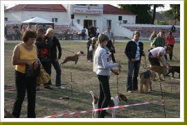 Klicken Sie auf das Bild, um es zu vergrößern