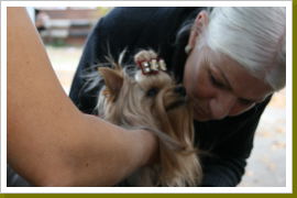 Klicken Sie auf das Bild, um es zu vergrößern