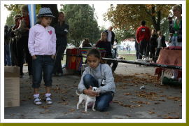 Klicken Sie auf das Bild, um es zu vergrößern