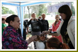 Klicken Sie auf das Bild, um es zu vergrößern