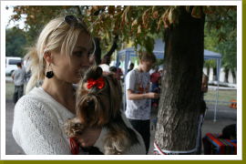 Klicken Sie auf das Bild, um es zu vergrößern