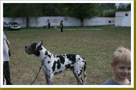 Klicken Sie auf das Bild, um es zu vergrößern