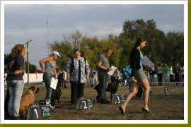 Klicken Sie auf das Bild, um es zu vergrößern