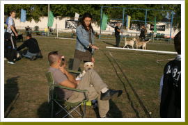 Klicken Sie auf das Bild, um es zu vergrößern