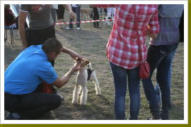 Klicken Sie auf das Bild, um es zu vergrößern