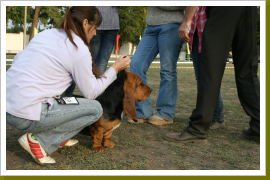 Klicken Sie auf das Bild, um es zu vergrößern
