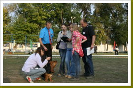 Klicken Sie auf das Bild, um es zu vergrößern