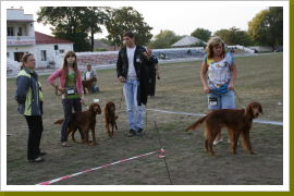 Klicken Sie auf das Bild, um es zu vergrößern