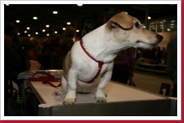 Klicken Sie auf das Bild, um es zu vergrößern