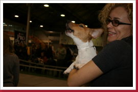 Klicken Sie auf das Bild, um es zu vergrößern