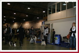 Klicken Sie auf das Bild, um es zu vergrößern