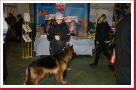 Klicken Sie auf das Bild, um es zu vergrößern