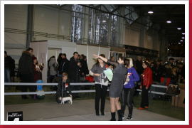 Klicken Sie auf das Bild, um es zu vergrößern