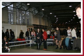 Klicken Sie auf das Bild, um es zu vergrößern