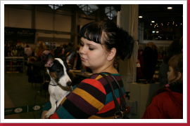 Klicken Sie auf das Bild, um es zu vergrößern