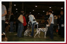 Klicken Sie auf das Bild, um es zu vergrößern