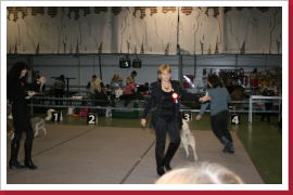 Klicken Sie auf das Bild, um es zu vergrößern