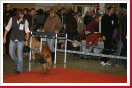 Klicken Sie auf das Bild, um es zu vergrößern