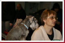 Klicken Sie auf das Bild, um es zu vergrößern