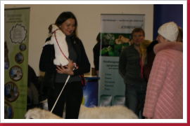 Klicken Sie auf das Bild, um es zu vergrößern