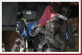 Klicken Sie auf das Bild, um es zu vergrößern