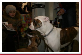 Klicken Sie auf das Bild, um es zu vergrößern