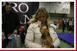 Klicken Sie auf das Bild, um es zu vergrößern