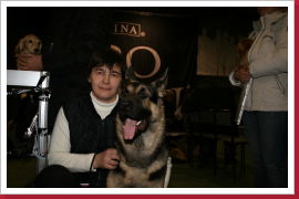 Klicken Sie auf das Bild, um es zu vergrößern