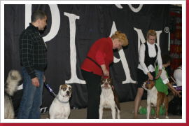 Klicken Sie auf das Bild, um es zu vergrößern