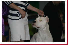 Klicken Sie auf das Bild, um es zu vergrößern