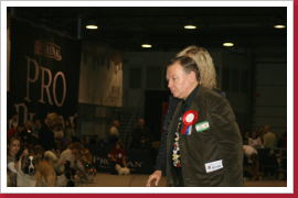 Klicken Sie auf das Bild, um es zu vergrößern